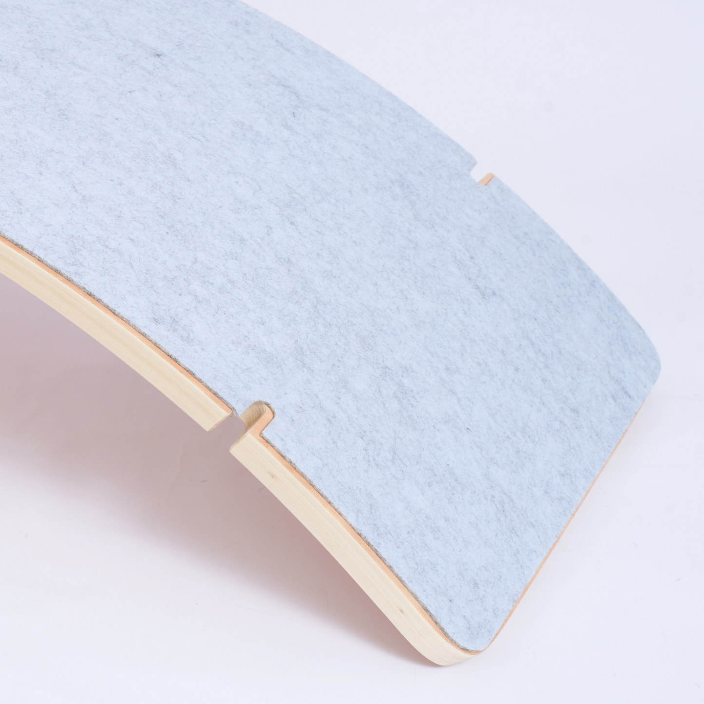 Swing Master Balance-Board