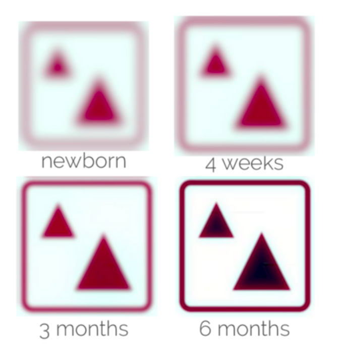 Was kann ein Neugeborenes sehen? Lesen Sie, was Montessori-Lehrer über die Entwicklung zwischen 0 und 3 Monaten sagen